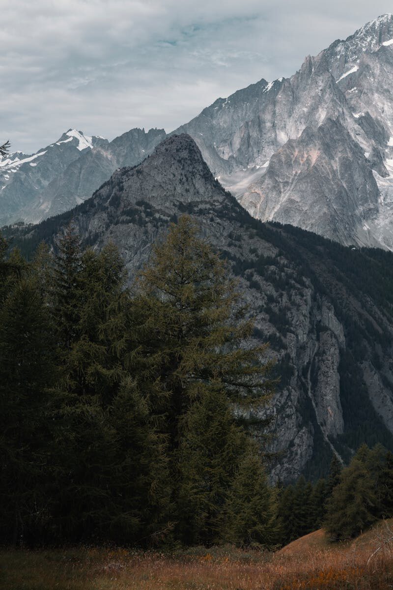 Railway Leasing Agreements