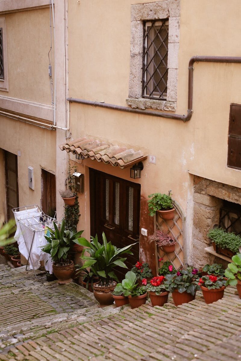 Energy Network Regulations