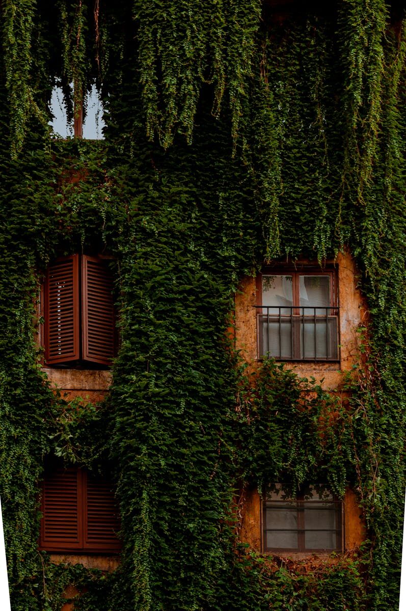 Port Security & Risk Management Laws