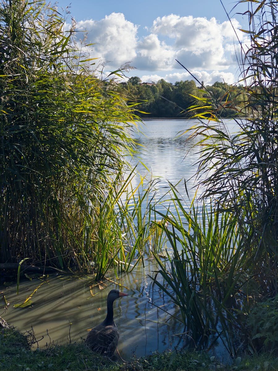 Infrastructure Disaster Recovery